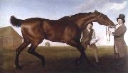 hambletonian,rubbing down George Stubbs